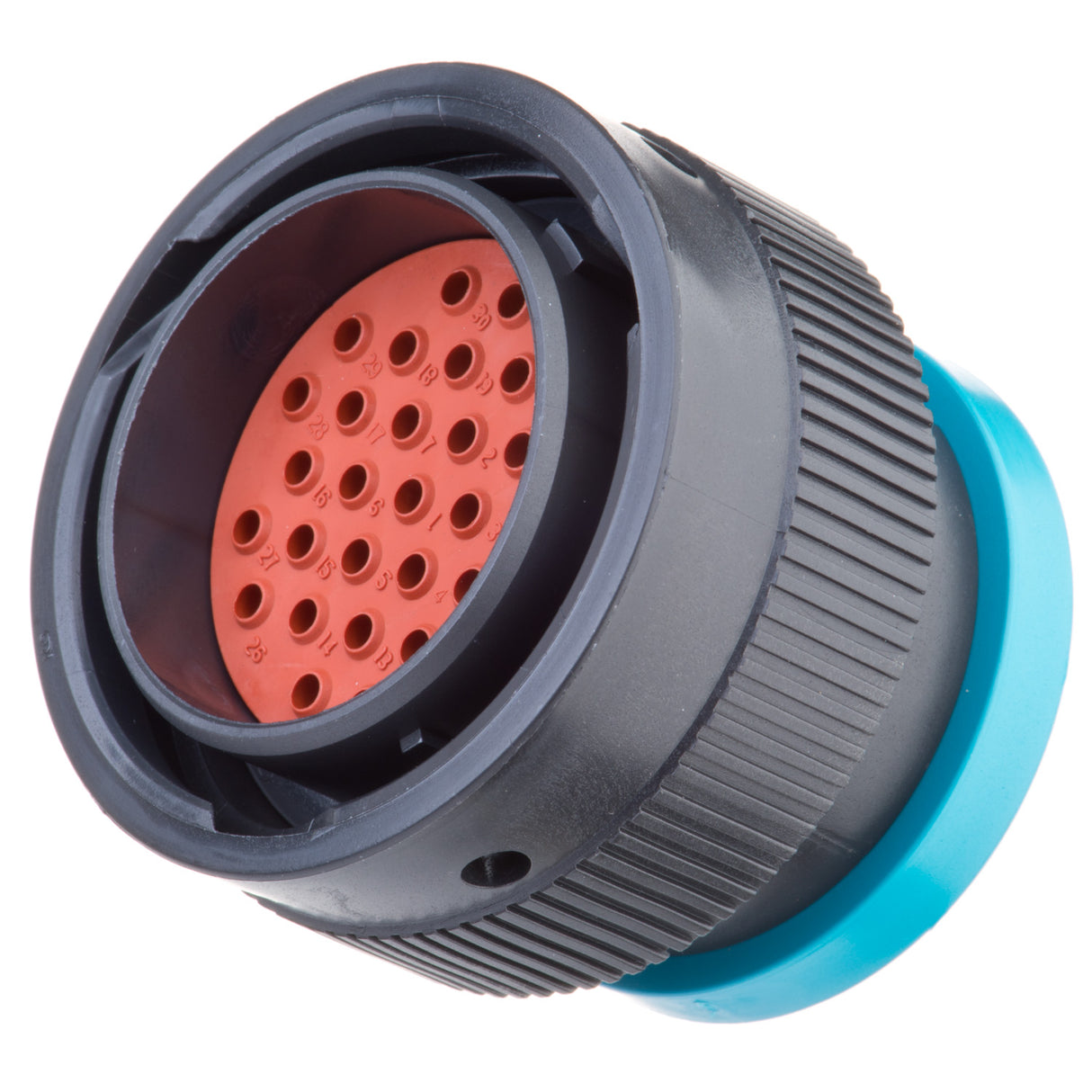 HDP26-24-31PE-L017 - HDP20 Series - 31 Pin Plug - 24 Shell, E Seal, Reverse, Ring Adapter