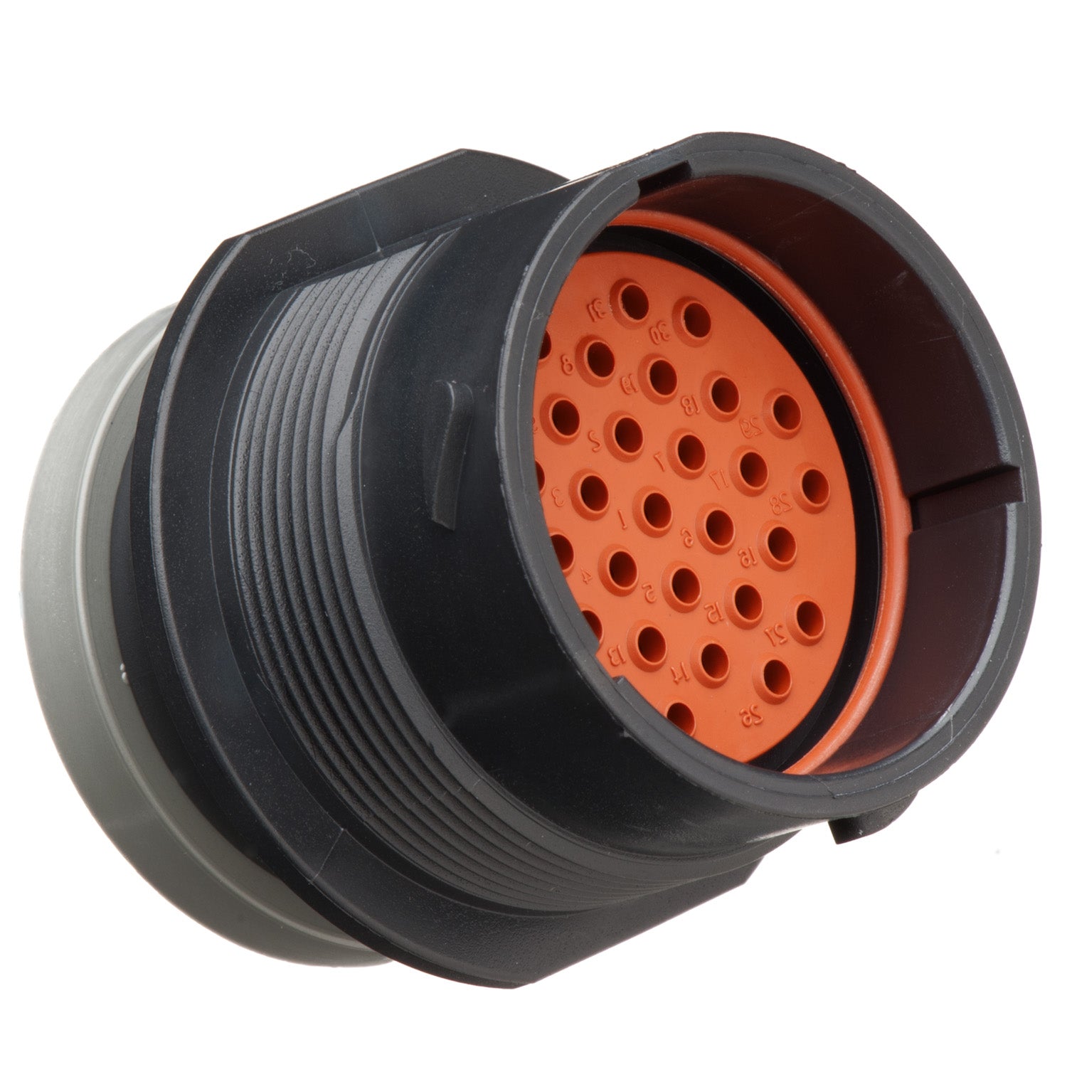HDP24-24-31PT-L017 - HDP20 Series - 31 Pin Receptacle - 24 Shell